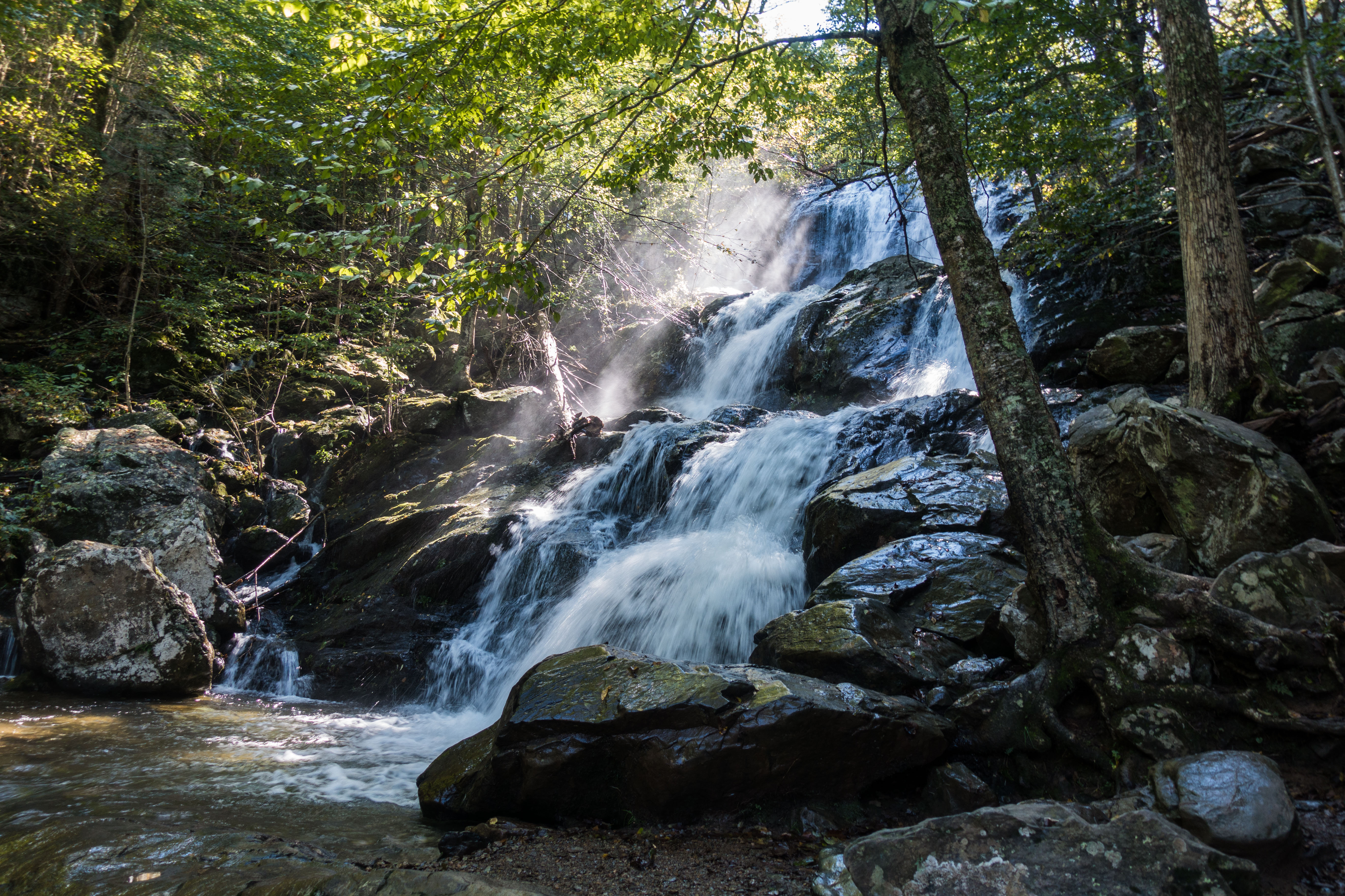 Rose River Loop Trail Map Shenandoah: Dark Hollow Falls And Rose River Loop Trail | Ktnpblog