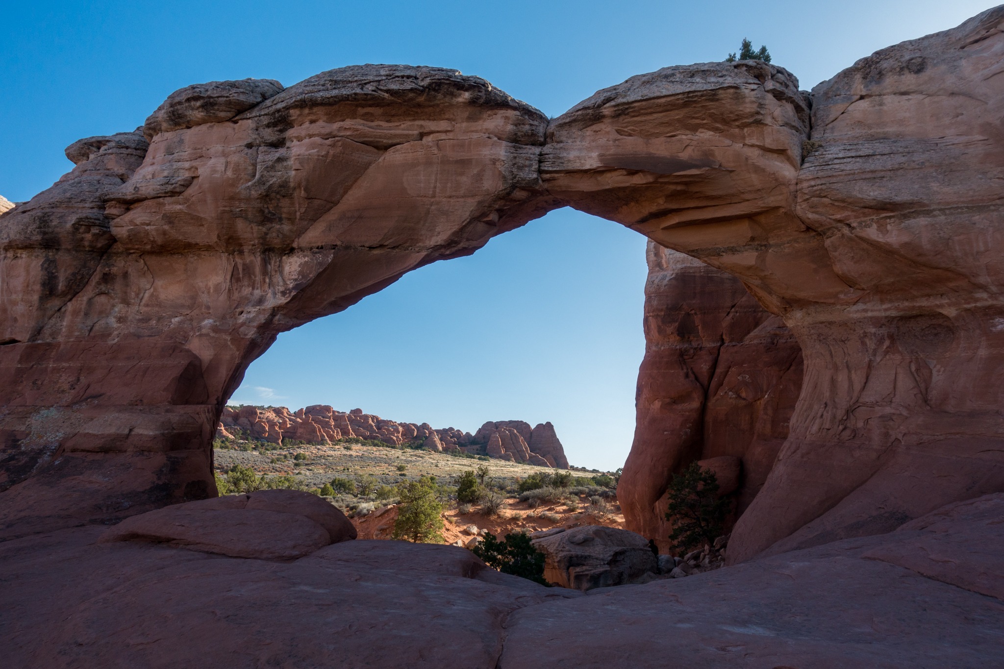 Tapestry arch arches national park new arrivals